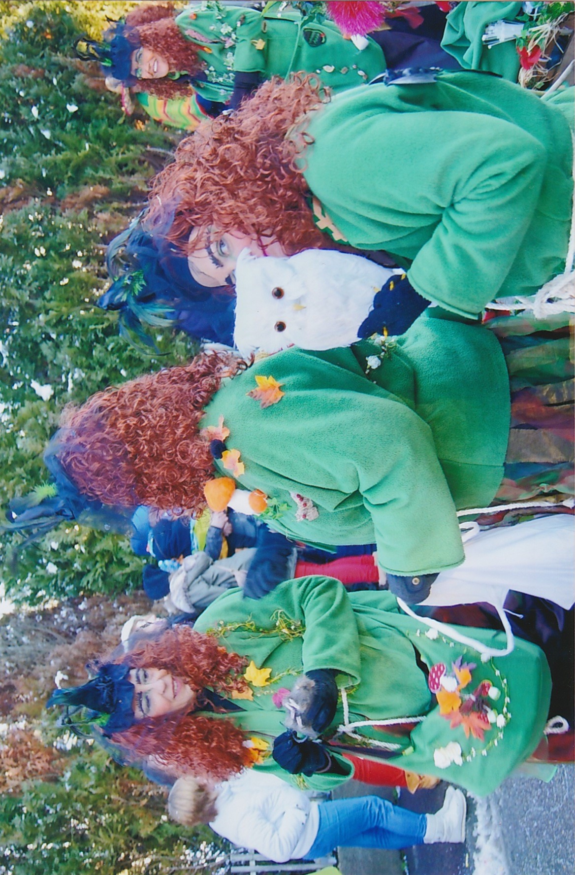 2012 Fasnetsumzug Kräuterhexen